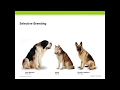 Selective Breeding and Genetics Concepts