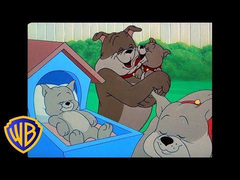 Tom & Jerry em Português | Brasil | O Melhor Pai do Mundo 🐶 | Dia dos Pais | @WBKidsBrasil​