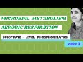 Cellular Processes and Phosphorylation
