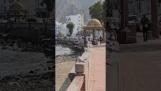 Oman most favorite location of matrrah Seaside with HM king Cruise