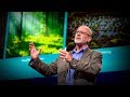 Seaweed's Role in Climate Solutions
