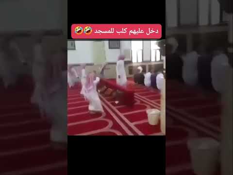 لاتنسون الاشتراك بالقناة ولايك فديتكم يااحلى متابعي🌹❤️🔔