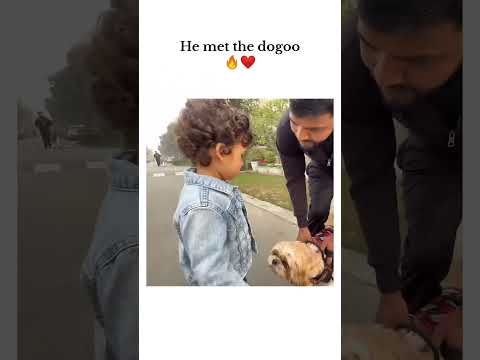 Dogoo and Ashri😭❤️ #shortsfeed #shorts #triggeredinsaan #malhanfamily #fukrainsaan #viralvideo