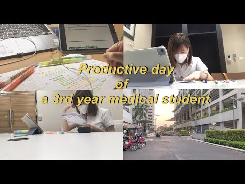 Productivedayofa3rdyearmedicalstudentENGbanabanah