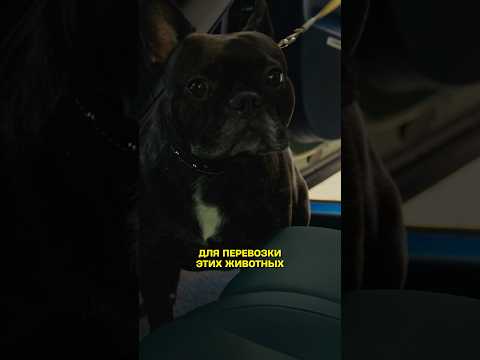 Кайф будет для всех