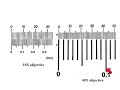 Eyepiece Graticule and Calibration