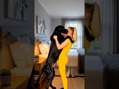 #dogsofinsta #love #dog #doglife #puppy #dance #doglove #girle #cut #lovedog #dogs #doglover