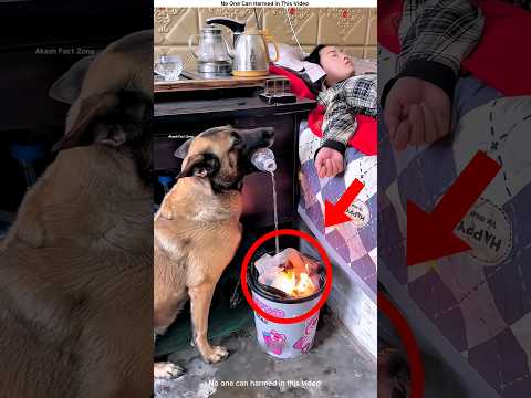 Smart Dog Puts Out Fire with Water Bottle!