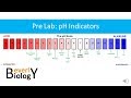 Understanding pH Indicators and Solutions