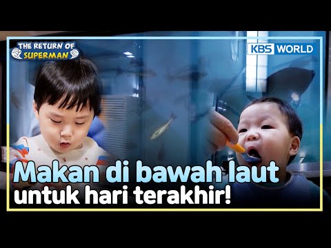 [IND/ENG] Keseruan Makan Seafood di Bawah Laut | The Return of Superman | KBS WORLD TV 241201