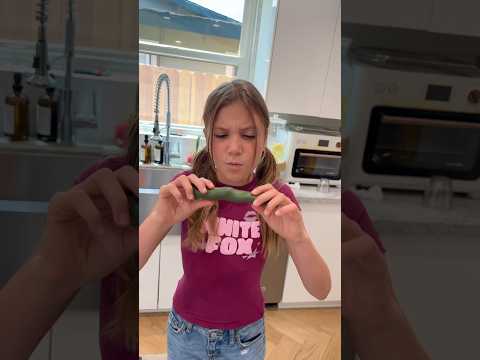 Pepper OR Fidget Toy?! ๐ถ๏ธ๐ค โโ @StellaW โโ @WFam โโ @MrsBench