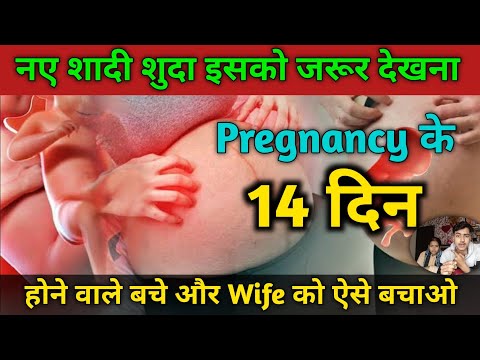 Pregnancy के 14 दिन kya Karen | Pregnancy test kitne din baad kare | Pregnancy me sex kab tak kare