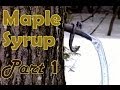 Maple Tapping Techniques and Knowledge