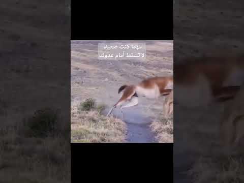 من المؤكد أنك تملك قوة هائلة أمام أعدائك