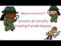 Mastering Punnett Square Applications