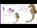 Exploring Volume and Geometry in 5th Grade Math