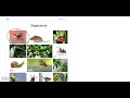 Classification and Taxonomy Concepts
