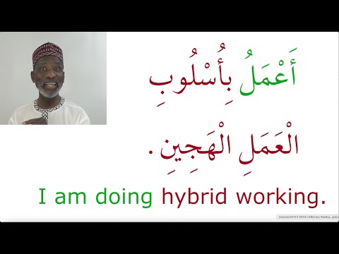 Common Verbs in Arabic with illustrative sentences, Episode 8