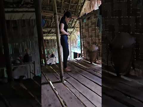 never trust anyone #shortsviral #shorts #viral #1million #ytviral