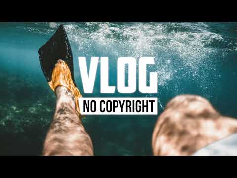DayFox - Lioness (Vlog No Copyright Music)