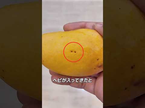 その男は食べ物に歯形を見つけました。