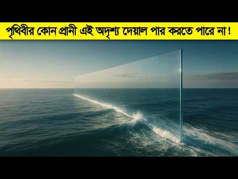 কেন কোন প্রানী মাছ পাখি ভুলেও এই অদৃশ্য বর্ডার ক্রস করে না ! আর করলেই বা কী হবে !