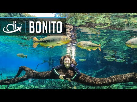 BONITO/MS ~ Passeios imperdíveis na capital do Ecoturismo ~ Destinos Imperdíveis