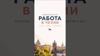 Официальная работа в Чехии. #emigrantcz #работавчехии #чехия #украинцывчехии