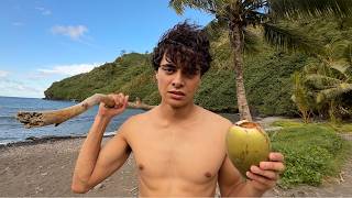 i stranded myself on an island for fun