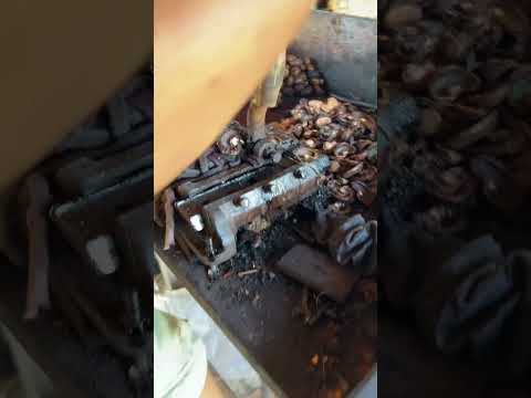 Abrir na castanha do caju na máquina manual ￼