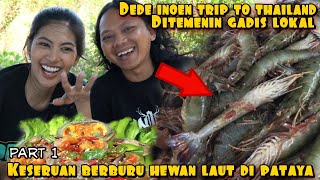 DEDE INOEN TRIP TO THAILAND | BERBURU HEWAN LAUT DI PATAYA