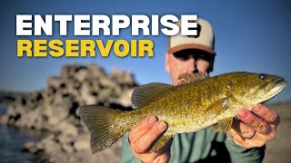 Best Bait to Catch Endless Smallmouth Bass (Enterprise Reservoir, Utah)!