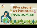 Environmental Awareness and Sustainability Concepts