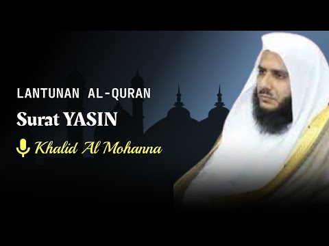 Surat Yasin Tajwid Bagus dan Makhroj Huruf Sempurna | Khalid Al Mohanna | Latin dan Terjemahan