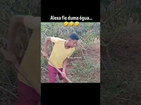 ALEXA DESGRAMADA!😂😂 #viral #humor #comedia #engraçado #humorbrasil #risada #memesbr #shorts