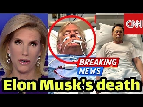 Breaking News Elon Musk dies after Tesla stock plungesTrump rejects Musk's plan for a poltical party