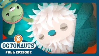 @Octonauts - ✨ The Elusive Yeti Crab 🦀 | Season 3 | Full Episode | Cartoons for Kids