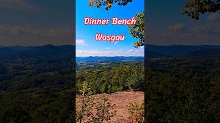 10/10 Dinner Bench 🥪👀 | Palatinate Forest, Germany 🇩🇪 #shorts