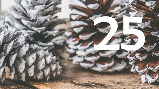 25. Dezember 2021 - Steven Gätjen liest "Dr. Brumm feiert Weihnachten"