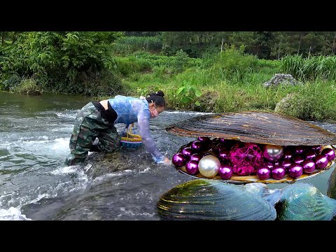 😱🎁Giant clams growing in the spring water, with enchanting pearls inside, are extremely beautiful
