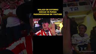 #chivas #chivasrayadasdeguadalajara #viral #seguidores #futbolmexicano #pumas #viralvideo