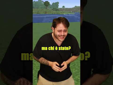 IL BRO mi ha TRADITO #minecraft #videogiochi #gaming #creative #litigio