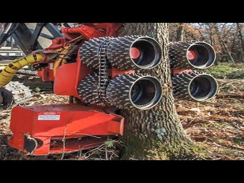 Dangerous Fastest Skills Chainsaw Cutting Excavator Tree Felling, Extreme Tree Shredder Wood Chipper