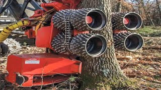 Dangerous Fastest Skills Chainsaw Cutting Excavator Tree Felling, Extreme Tree Shredder Wood Chipper