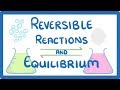 Chemical Equilibrium and Reactions