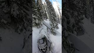 Luckiest log hop ever #sled #snow #mountains