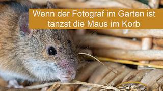 Abenteuer Naturfotografie - Wenn der Fotograf im Garten ist...