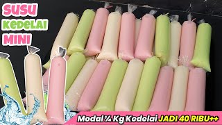 SAYA BONGKAR RAHASIANYA DISINI! MODAL 1/4 KG KEDELAI JADI 40 RIBU | Ide Jualan Es Lilin Susu Kedelai