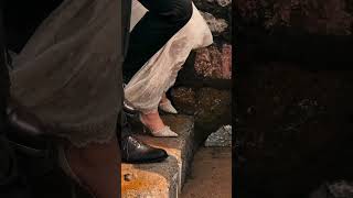 #youtubeshorts #like #viral #viralshorts #pakistan