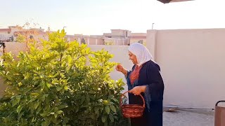 وينكم عيوني مشتاقون جبتلكم أشكال الوان فطور وحلويات واحتفال